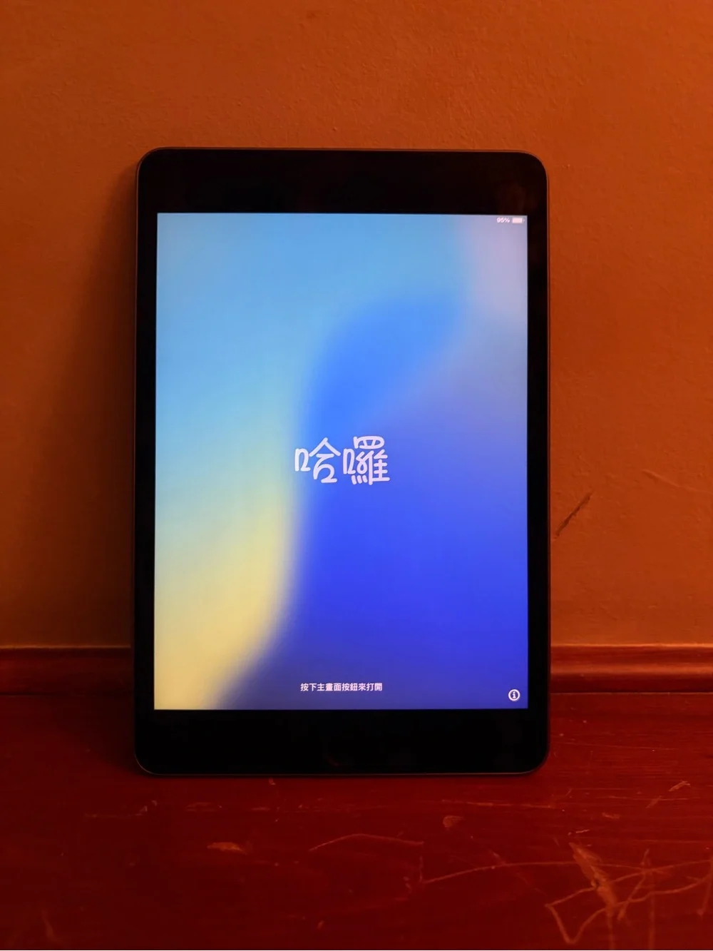 Apple iPad Mini Black with Colorful Display